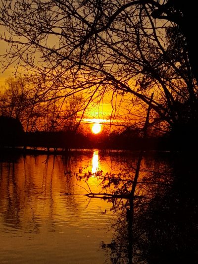 Sonnenuntergang über dem Bodensee